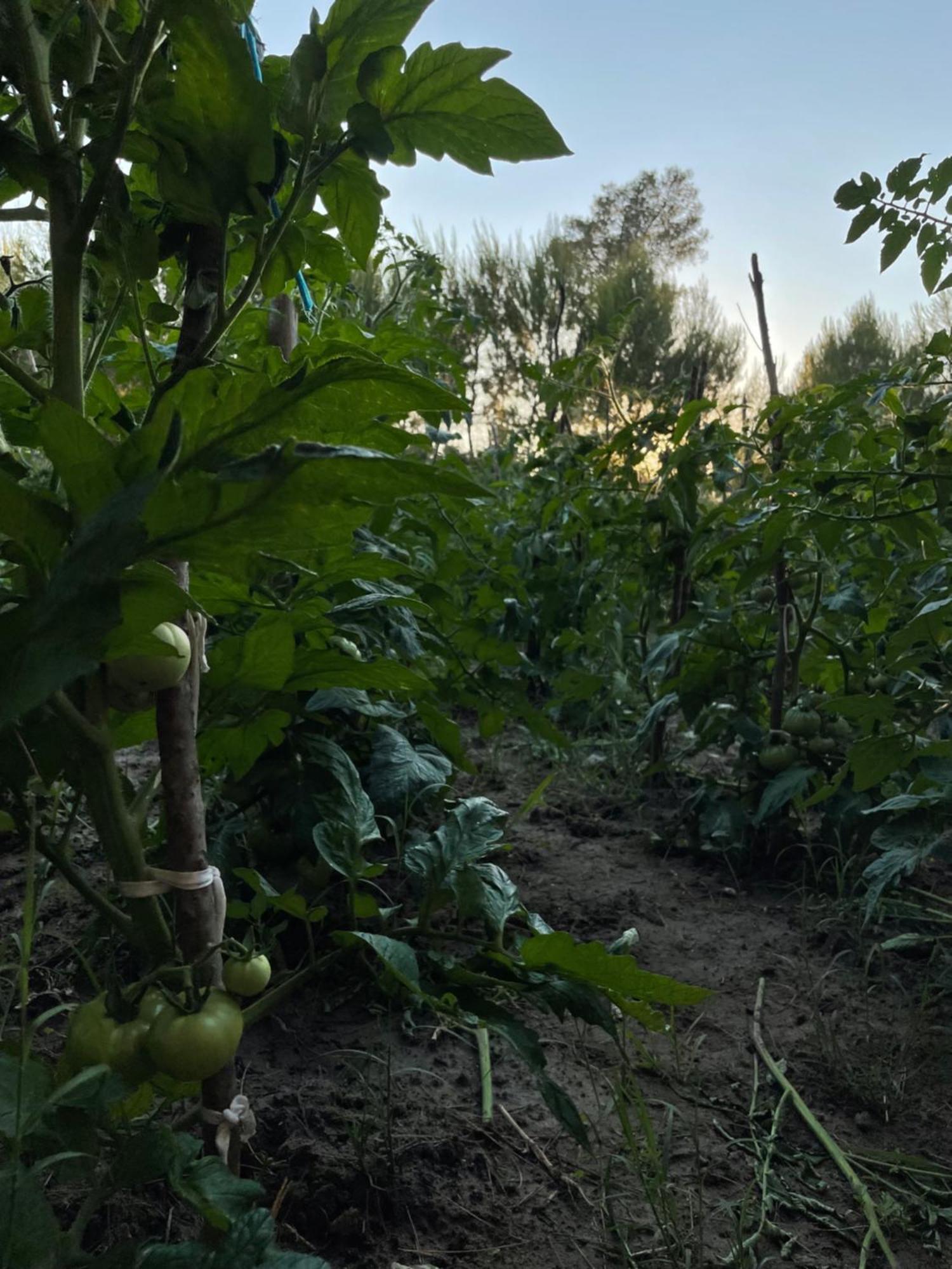 Agroturizem Eldi Hotel Fier Kültér fotó